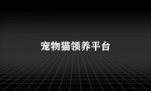 宠物猫领养平台