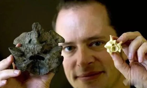 塞雷洪泰坦蟒的图片长什么样 有多大灭绝了吗