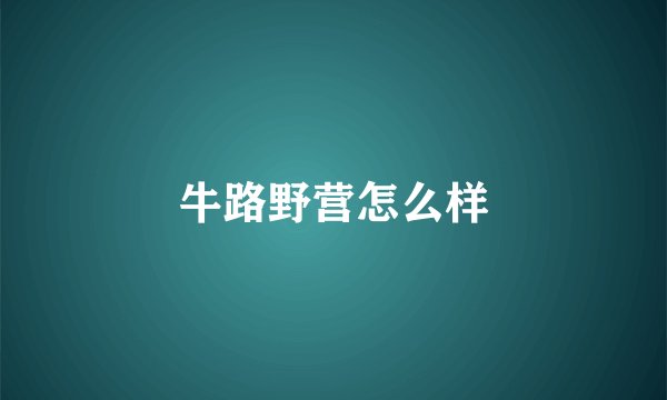 牛路野营怎么样