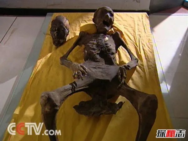 走近科学最恐怖的一期 揭秘三百年干尸复活之谜