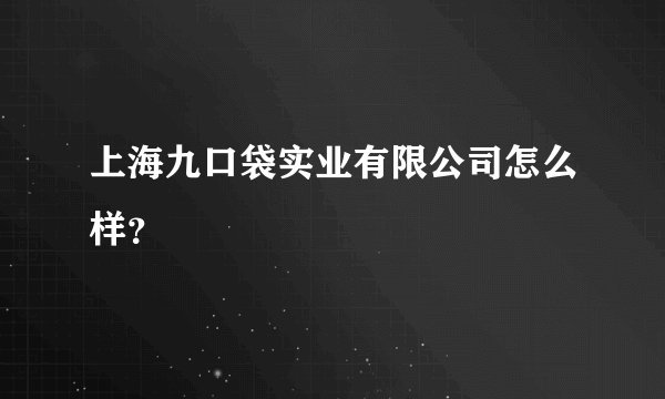 上海九口袋实业有限公司怎么样？