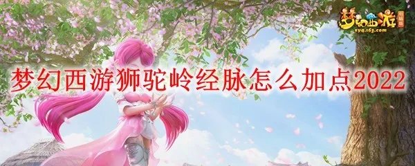 梦幻西游狮驼岭经脉怎么加点2022