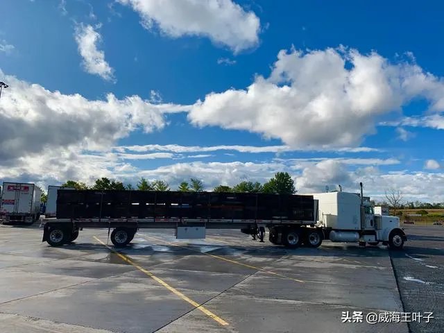 房车旅行可以带猫吗？为什么？