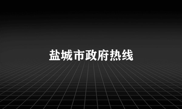 盐城市政府热线