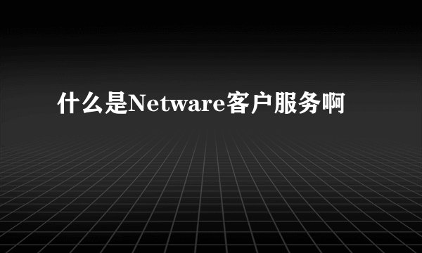 什么是Netware客户服务啊