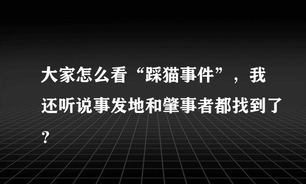 大家怎么看“踩猫事件”,我还听说事发地和肇事者都找到了?