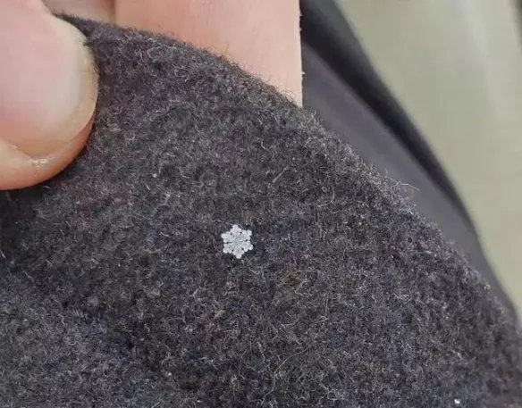 热带雨林惊现鲸鱼尸骨!27张千年一遇的神奇巧合照片