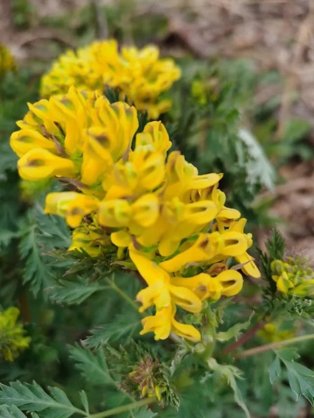 最新消息，5月6日零时起恢复全国收费公路收费，你怎么看？