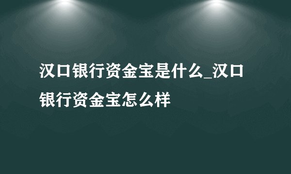 汉口银行资金宝是什么_汉口银行资金宝怎么样