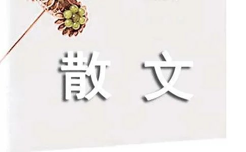 网络情缘散文