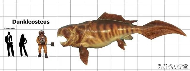 地球演化中有哪些超乎人想象的现象?