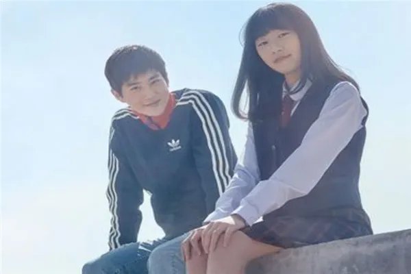 2020校园爱情电影排行榜前十名 有哪些好看的爱情电影推荐