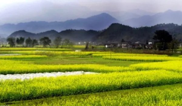 渴望春天的歌词