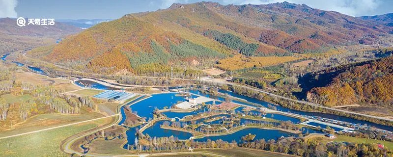 伊春是哪个省的