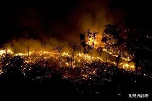 为什么亚马逊雨林会燃烧?这为何是一个大问题?