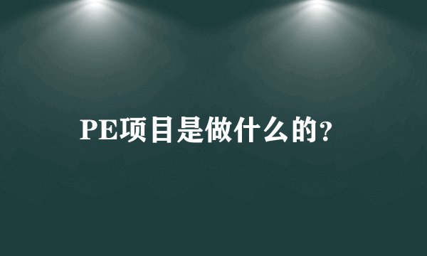 PE项目是做什么的？