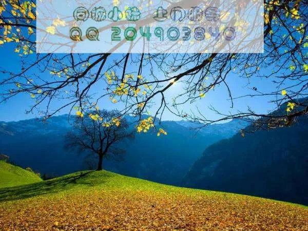 济南哪些娱乐场所比较好玩,价钱便宜的