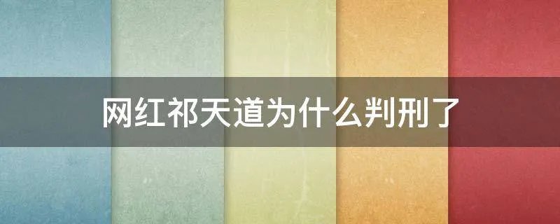 网红祁天道为什么判刑了