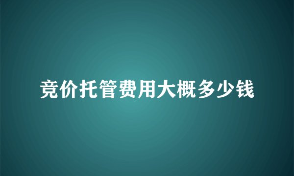 竞价托管费用大概多少钱