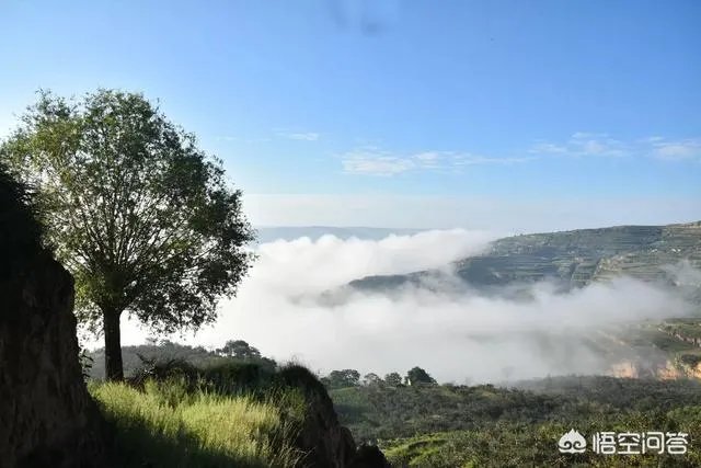 富士苹果的价格是多少?2018年下半年苹果的行情怎么样?