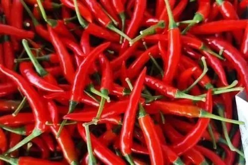 辣椒是我国餐桌上的常见客，二荆条辣椒有什么特别之处？