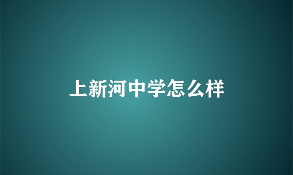 上新河中学怎么样