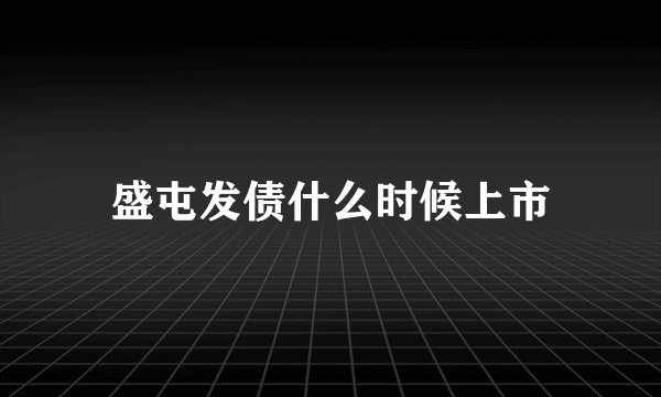盛屯发债什么时候上市