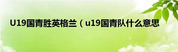 U19国青胜英格兰（u19国青队什么意思
