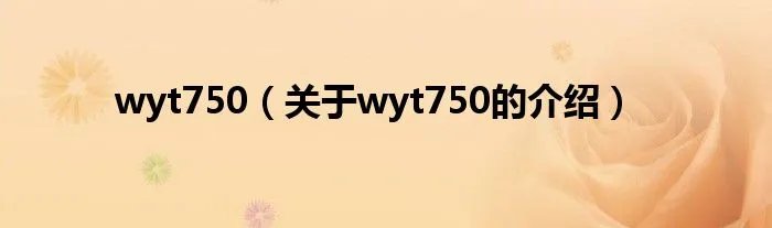 wyt750（关于wyt750的介绍）
