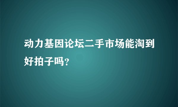 动力基因论坛二手市场能淘到好拍子吗?