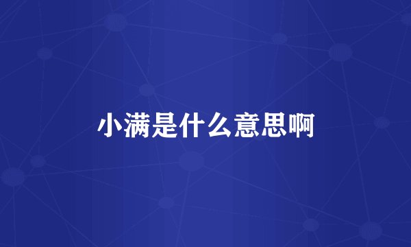 小满是什么意思啊