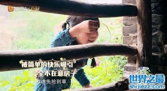 小山竹的真名叫什么，素人萌娃纪美伊萌翻众人 