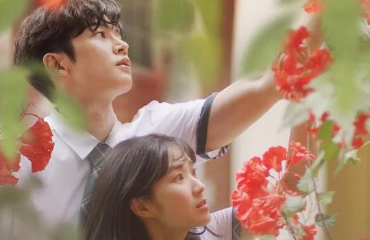 如何评价韩剧《偶然发现的一天》？