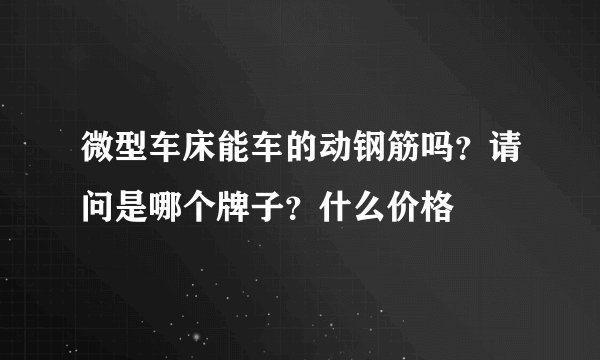微型车床能车的动钢筋吗?请问是哪个牌子?什么价格