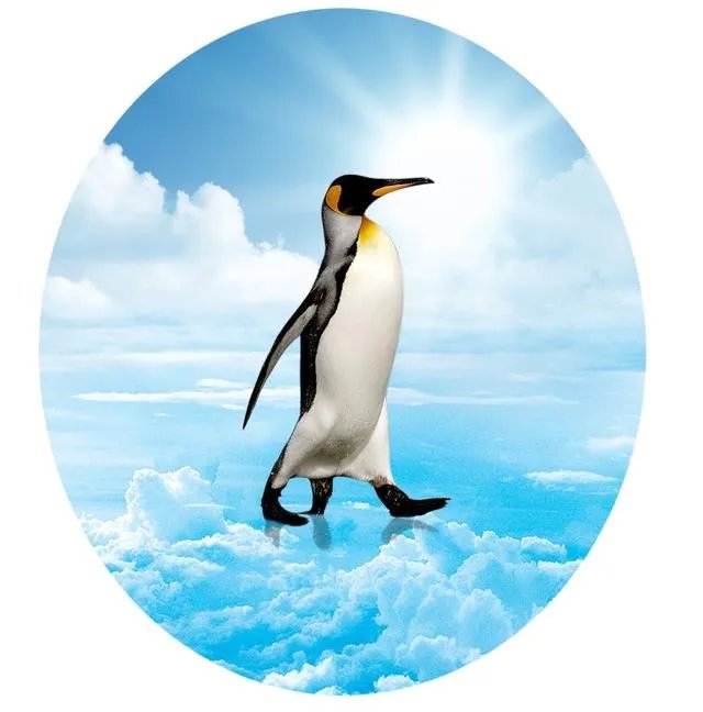 你用过最好看的QQ头像是哪个？