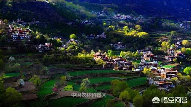 甘孜州丹巴县的特产是什么```？