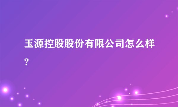 玉源控股股份有限公司怎么样？