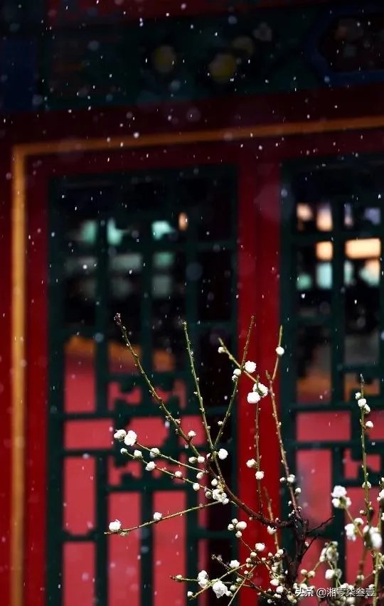 冬天旅游都需要带什么？