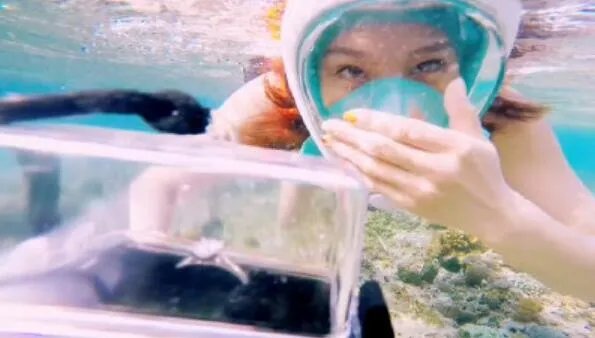 魏晨成功求婚是怎么回事 魏晨女友是谁