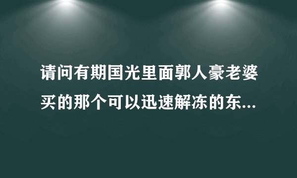 请问有期国光里面郭人豪老婆买的那个可以迅速解冻的东西是什么啊？