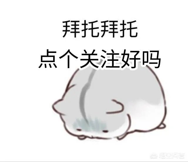 爸爸去哪儿5新春特集在哪里可以看免费的?