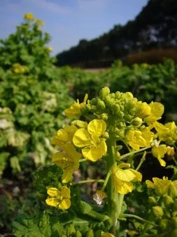 小型广角王 松下FX01各场景拍摄报告