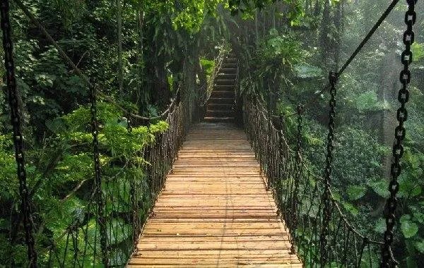 深圳青青世界好玩吗？？？主要是干什么的？？