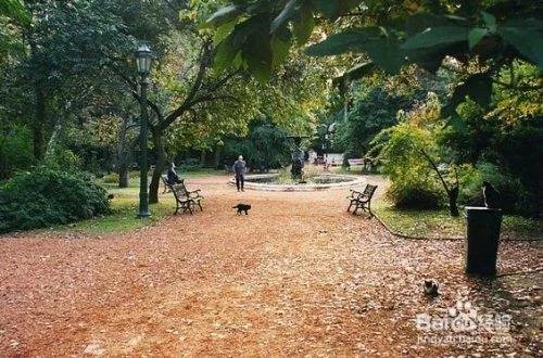 布宜诺斯艾利斯有哪些景点