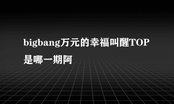 bigbang万元的幸福叫醒TOP是哪一期阿