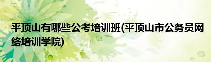 平顶山有哪些公考培训班(平顶山市公务员网络培训学院)