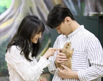 郑爽诉张恒案二审开庭，郑爽能胜诉吗？