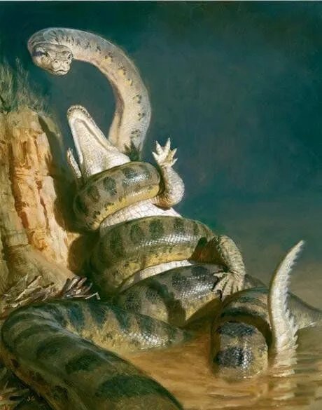 塞雷洪泰坦蟒的图片长什么样 有多大灭绝了吗