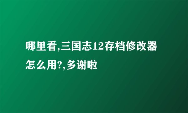 哪里看,三国志12存档修改器怎么用?,多谢啦