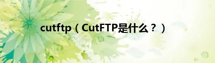 cutftp(CutFTP是什么?)